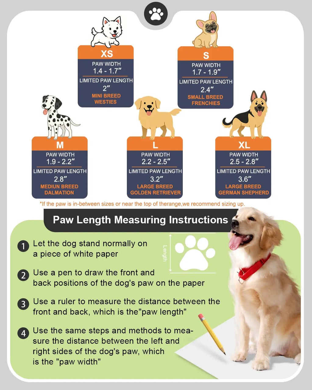 Protective Paw Booties for Dogs